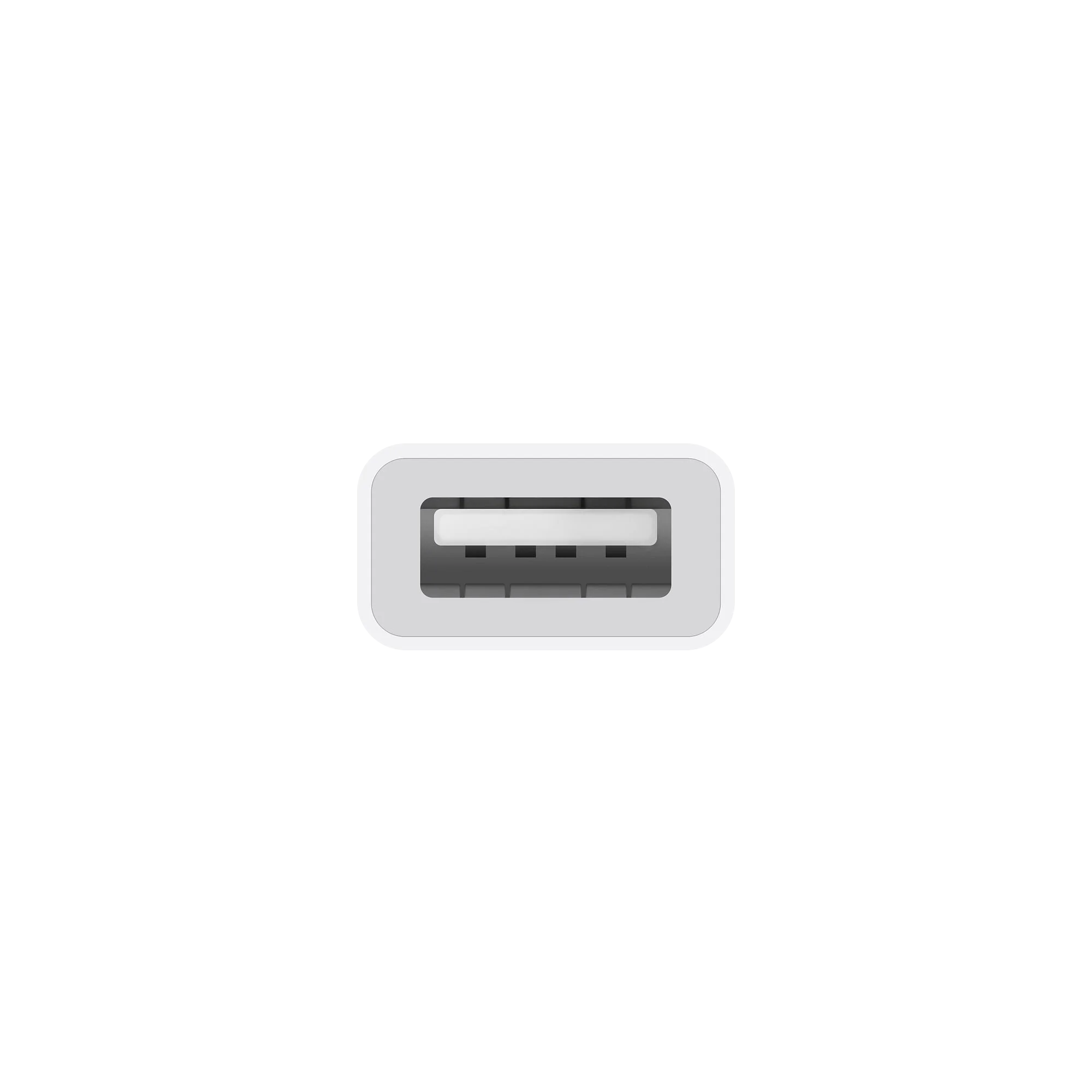 USB-C to USB Adapter - Image 3